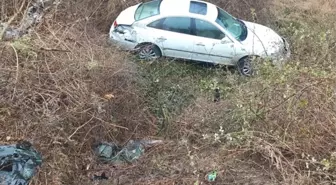 Tokat'ta tarlaya düşen otomobildeki 3 İranlı yaralandı