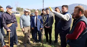 Bilecik'te çiftçilere ağaç budama eğitimi verildi