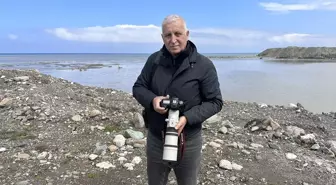 Abana'da göç yolculuğuna devam eden telli turnalar görüntülendi