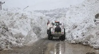 Hakkari-Çukurca kara yolu çığ nedeniyle kapanmıştı, ekipler çalışmalarını tamamladı