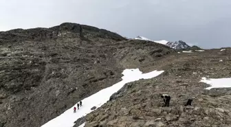 Türk bilim insanları geçmişin izinde Antarktika'nın geleceğini araştırdı