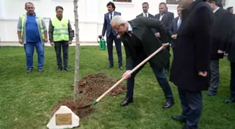 Ulaştırma Bakanı Abdulkadir Uraloğlu Bilecik'te çınar fidanı dikti