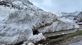 Siirt ve Van arasındaki yol çığ nedeniyle ulaşıma kapandı