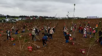 Adana ve Mersin'de Orman Haftası etkinlikleri kapsamında fidan dikimi gerçekleştirildi