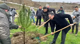 Boyabat'ta Orman Haftası etkinlikleri kapsamında fidan dikimi gerçekleştirildi