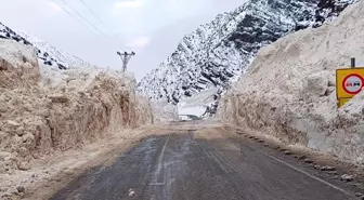 Van-Çatak kara yolu çığ nedeniyle kapanmıştı, yol açıldı