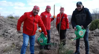 Eskişehir'de 21 Mart Dünya Ormancılık Günü'nde 8 bin fidan toprakla buluştu