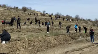 Havza'da 300 Öğrenci 1000 Karaçam Fidanını Toprakla Buluşturdu