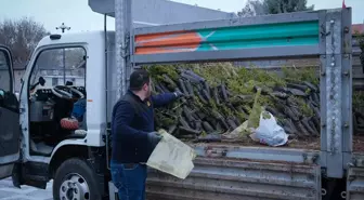 Karapınar'da 5 Bin Çam Sediri Fidanı Dağıtıldı