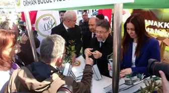 Tarım ve Orman Bakanı Çanakkale'de Çocuklarla Fidan Dağıttı