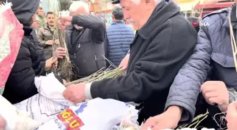 Cuma namazı çıkışında vatandaşlara 2 bin fidan dağıtıldı