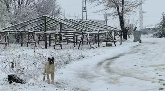 Malatya'da Kar Yağışı Etkili Oldu