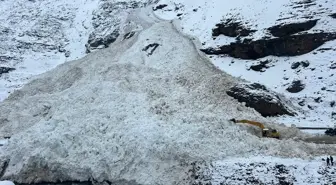 Van'ın Bahçesaray ilçesinde çığ düştü, yol açma çalışmaları başlatıldı