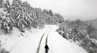 Kastamonu'da Kar Yağışı Sonrası Beyaza Bürünen Ormanlar Havadan Görüntülendi