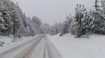 Kastamonu'nun yüksek rakımlı noktalarında kar etkili oldu