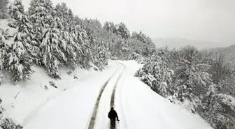 Kastamonu'da Kar Yağışı Sonrası Beyaza Bürünen Ormanlar Görüntülendi