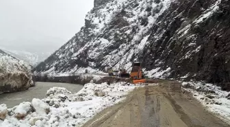 Van'da çığ nedeniyle kapanan Çatak-Pervari kara yolu açıldı