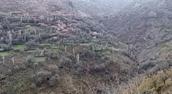 Bitlis'te kaybolan yaşlı adam için arama çalışması başlatıldı