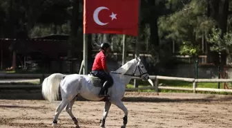 Antalya'da At Oteli: Değerleri Milyon Doları Bulan Atlar Yarışlara Hazırlanıyor