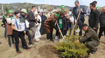Amasya'nın Taşova ilçesinde fidan dikim etkinliği düzenlendi