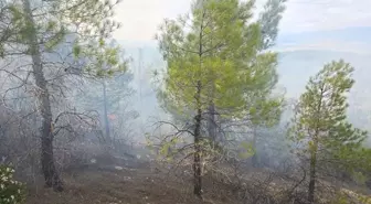 Mersin'de Orman Yangını Kontrol Altına Alındı