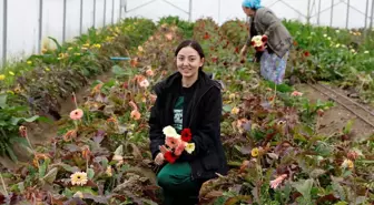 Samsun'da genç kadın çiftçi, destekle işlerini büyüttü