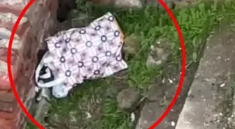 Diyarbakır'da metruk yapıya bırakılan bebeğin annesi hakkında 20 yıla kadar hapis istemi