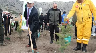 Amasya'da Orman Haftası etkinliğinde 500 fidan dikildi