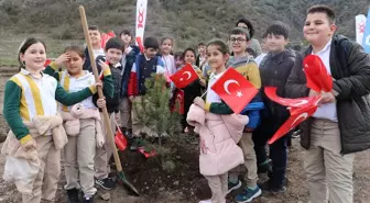 Amasya'da Orman Haftası Etkinliğinde 500 Fidan Dikildi