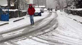 Erzurum, Ardahan ve Kars'ta kar yağışı etkili oluyor