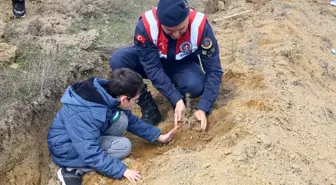 Karabük'te Orman Haftası Etkinliğinde 3 Bin 500 Fidan Dikildi