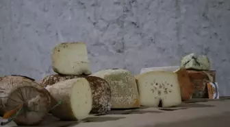 Makine Mühendisi Çiftin Yeraltı Peyniri Yabancıların İlgisini Çekti