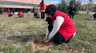 NEVÜ Öğrencileri Orman Haftası'nda Fidan Dikti