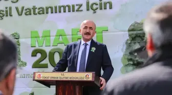 Tokat'ta 1500 Çam Fidanı Dikildi