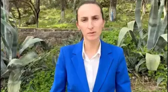 Down Sendromlu Çocuklar Akyaka'da Farkındalık Etkinliğine Katıldı