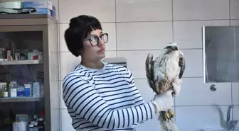Afyon Kocatepe Üniversitesi Yaban Hayatını Kurtarma Rehabilitasyon Eğitim Uygulama ve Araştırma Merkezi'nde Yaban Hayvanlarına Tedavi ve Rehabilitasyon Hizmeti
