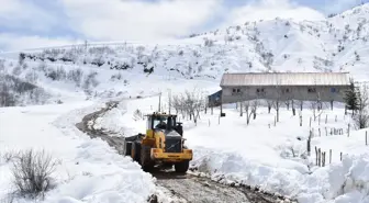 Bitlis'te karla mücadele çalışmaları sürüyor