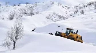 Bitlis'te karla mücadele çalışmaları sürüyor