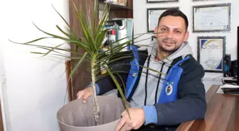 Aydın'da Süs Bitkisi Hırsızlığına Devam