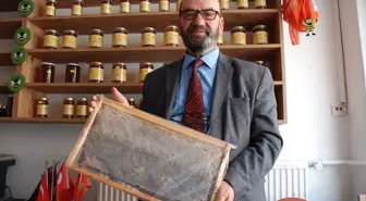 Eskişehir'de Hava Değişimleri Arıcılığı ve Bal Üretimini Olumsuz Etkiliyor