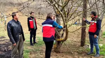 Kütahya'da meyve bahçelerinde liken oluşumları gözlemlendi