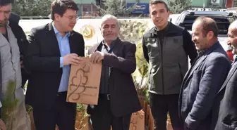 Tokat'ta Orman Haftası Kutlamaları: Vatandaşlara Ücretsiz Fidan Dağıtıldı