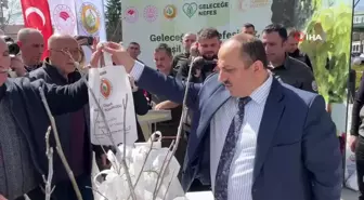 Bolu'da 20 bin fidan dağıtıldı
