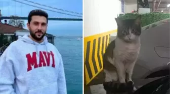 Kedi 'Eros'u öldüren sanık hakkındaki karara savcılıktan itiraz