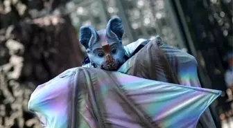 Meksika'da düzenlenen 2024 Orman Festivali'nde sanatçılar yarasa kostümleriyle performans sergiledi