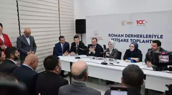 Cumhurbaşkanı Erdoğan, Roman Dernekleriyle İstişare Toplantısı'na katıldı