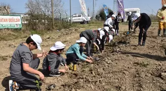 Samsun'da Dünya Ormancılık Haftası kutlamaları