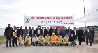 Samsun'da Dünya Ormancılık Haftası kapsamında fidan dikme töreni düzenlendi