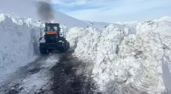 Uludere ilçesinde Tanin Geçidi'nde kar temizleme çalışması