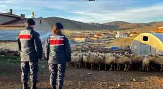 Kayseri'de kayıp 150 koyun dron ile bulundu